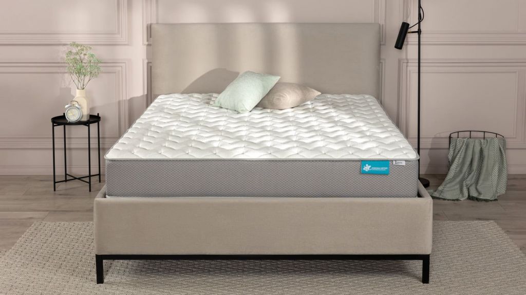 ortho_1 (1).jpg